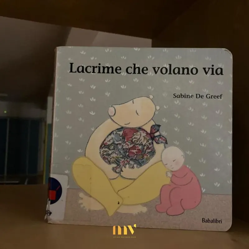 Copertina del libro illustrato Lacrime che volano via di Sabine De Greef appoggiata su un tavolo